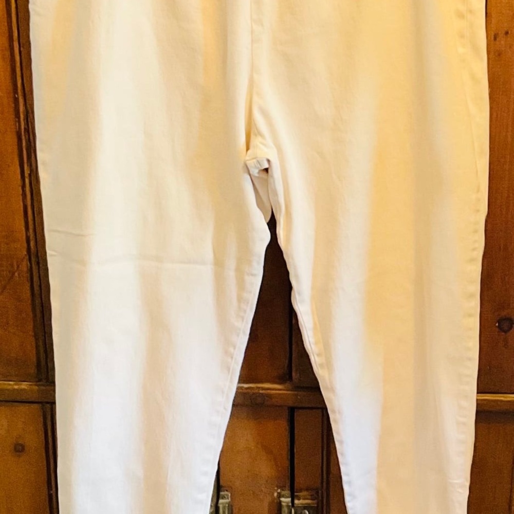 Women’s Size 20 Light Light Tan Pants by What’s Next~Like New